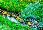 creek