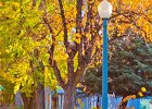 fall-lampost