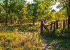 fence 1