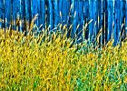 fence 3