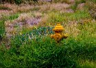hydrant