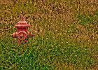 hydrant 1