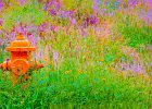 hydrant 2