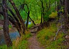 path2 1