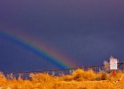 rainbowforsale