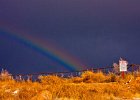 rainbowforsalewhole