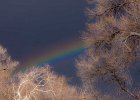 rbow3