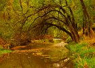 river