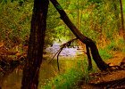 river2 1