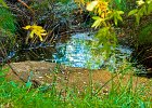 tinyleaves2