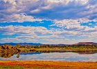willowlake b
