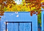 shed2